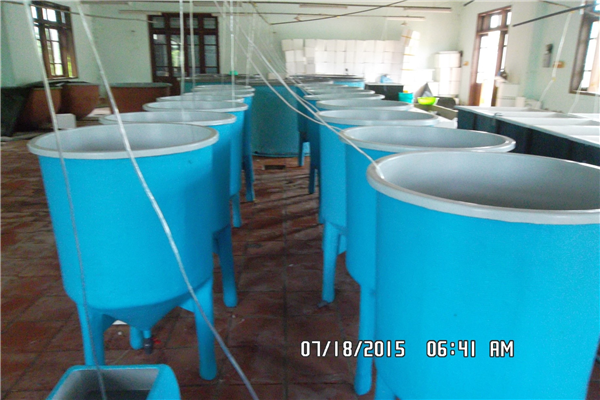 Kết quả hoạt động của Trại nuôi trồng thủy sản thực nghiệm nước mặn Cam Ranh (giai đoạn 2015 – 2021)