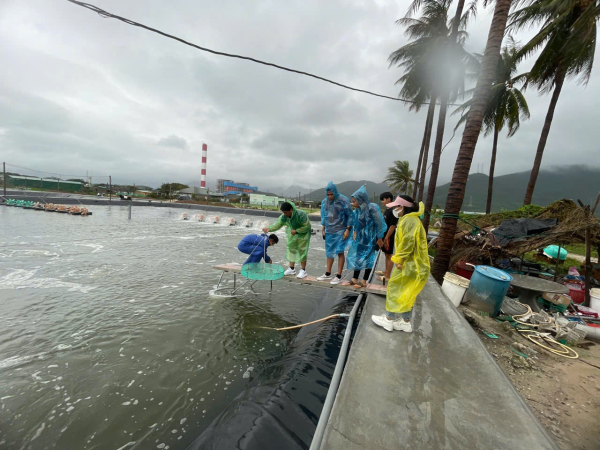 Sinh viên Trường Đại học Kasesart - Thái Lan đến thực tập tại Viện Nuôi trồng Thủy sản - Trường Đại học Nha Trang