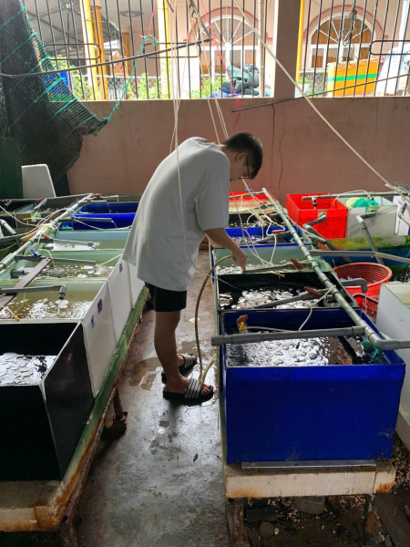 Viện Nuôi trồng Thủy sản tổ chức nghiệm thu 04 đề tài Nghiên cứu Khoa học của sinh viên trong tháng 4/2025