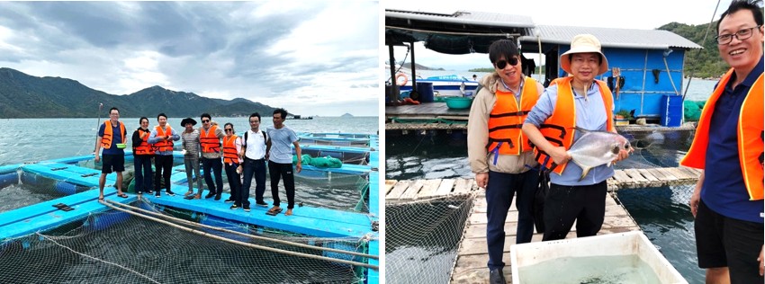 Tham quan lồng bè lưu giữ và quản lý đàn cá bố mẹ: cá sủ, cá tai bồ, cá chim, cá bè vẫu, cá mú,....