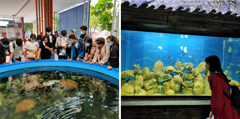 Sinh viên tham quan hệ thống trưng bày thủy sinh vật cảnh